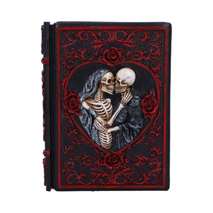 Lovers Grimoire Journal 19cm 1