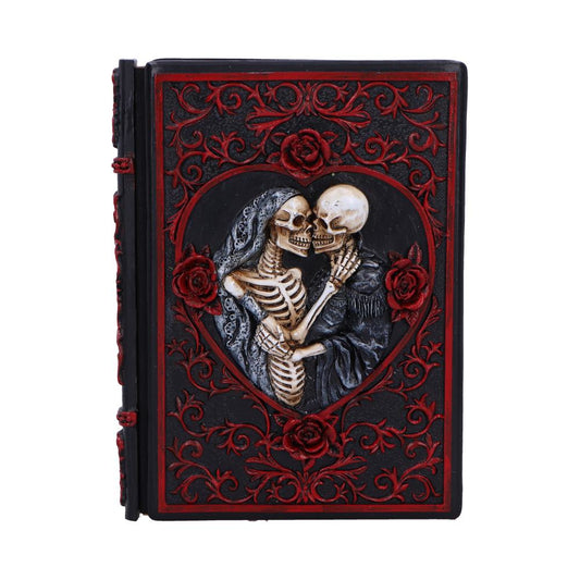 Lovers Grimoire Journal 19cm 1