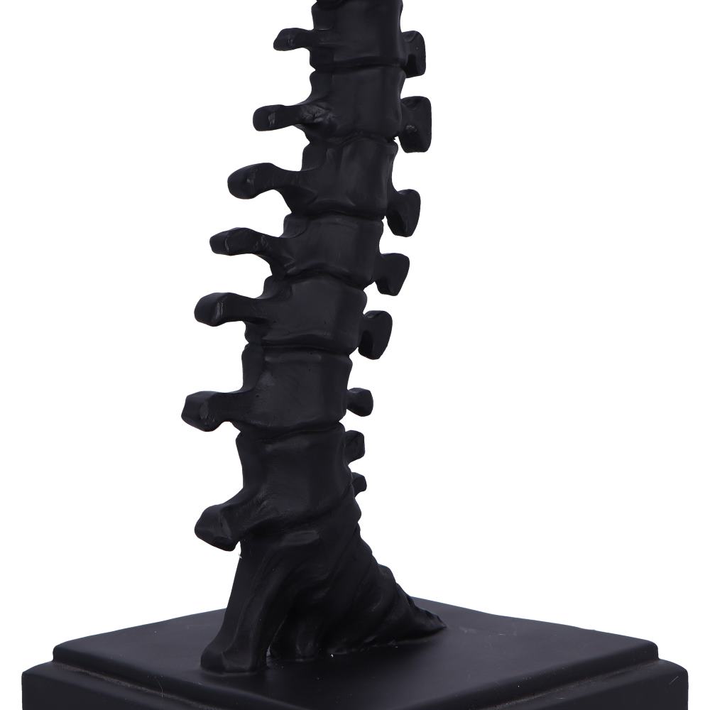 Vertebrae Lamp 38cm 6