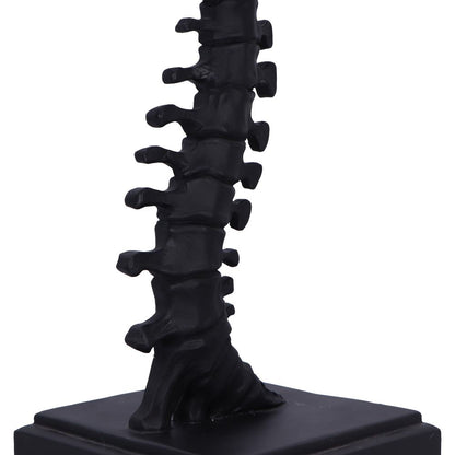 Vertebrae Lamp 38cm 6