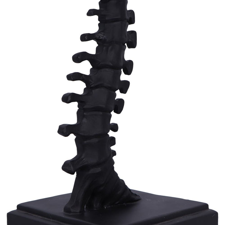 Vertebrae Lamp 38cm 6