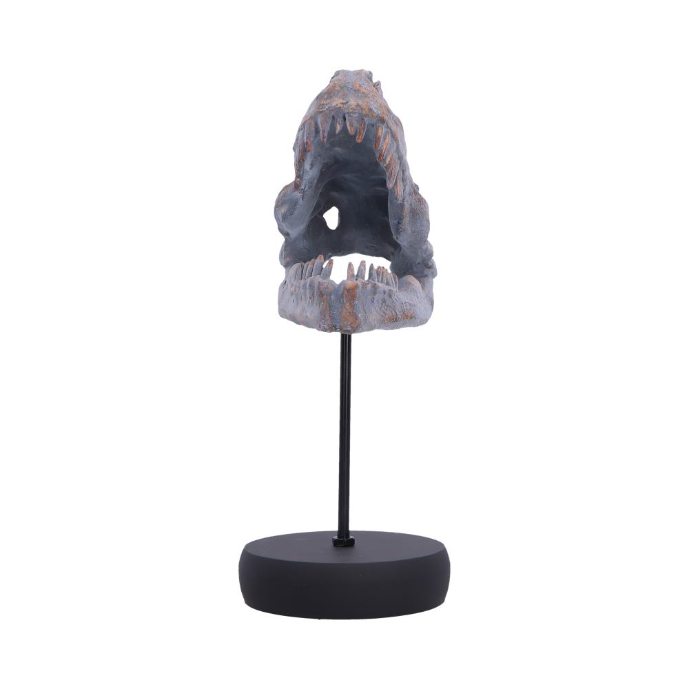 Tyrannosaurus Rex Skull on Plinth 24.2cm 2