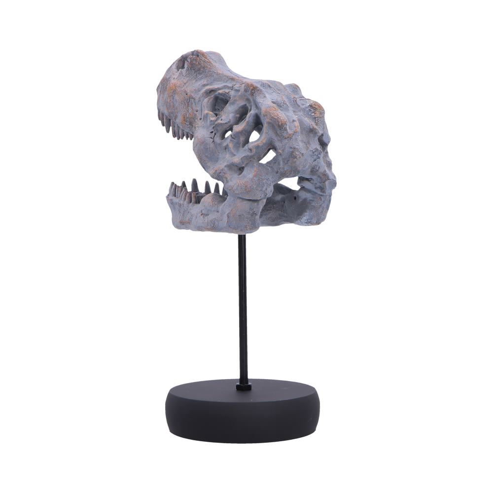 Tyrannosaurus Rex Skull on Plinth 24.2cm 3