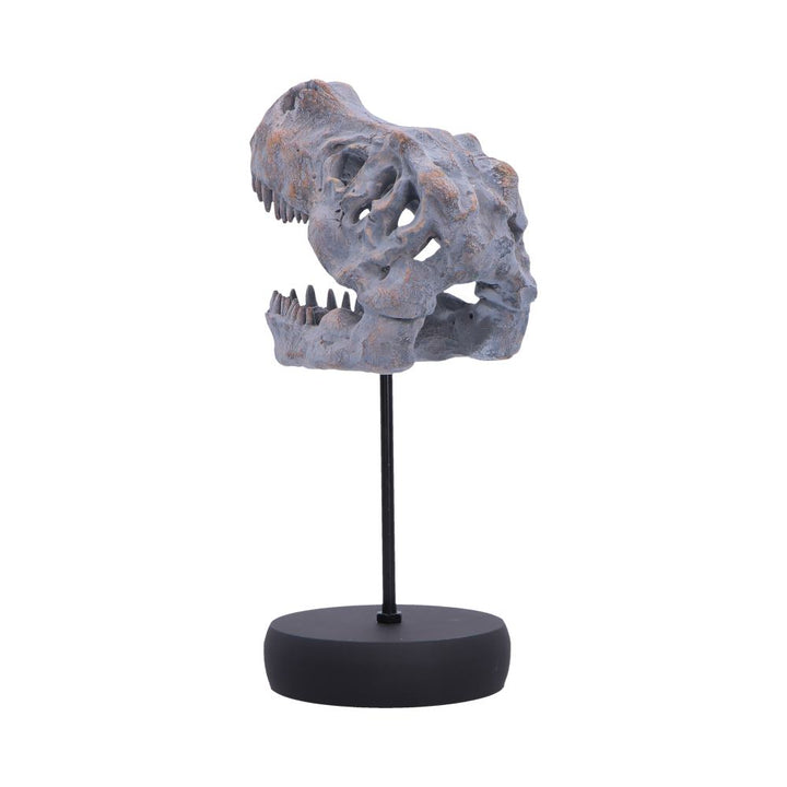 Tyrannosaurus Rex Skull on Plinth 24.2cm