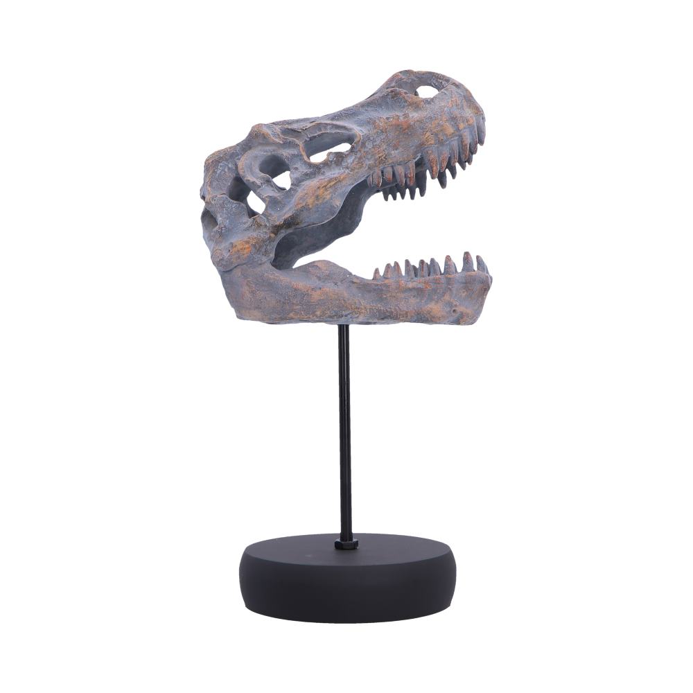 Tyrannosaurus Rex Skull on Plinth 24.2cm 4