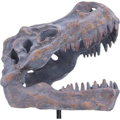 Tyrannosaurus Rex Skull on Plinth 24.2cm 5