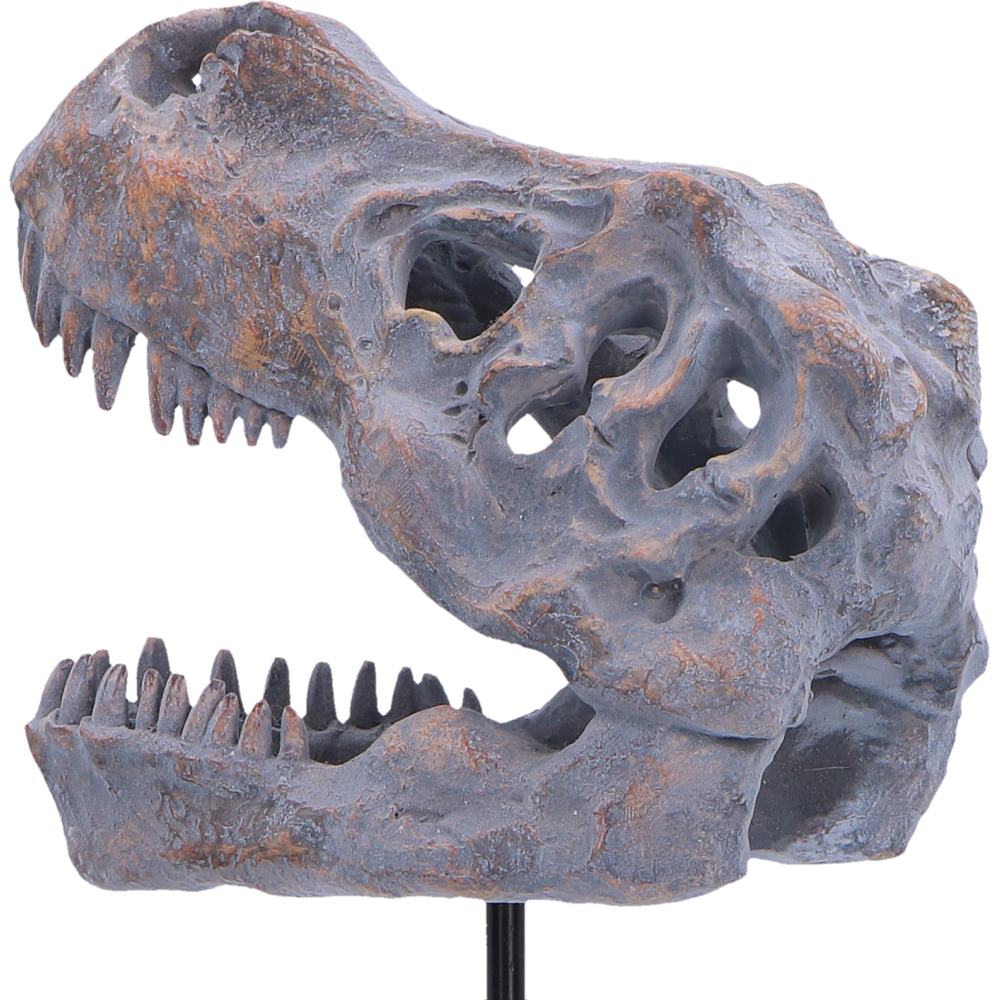 Tyrannosaurus Rex Skull on Plinth 24.2cm 6