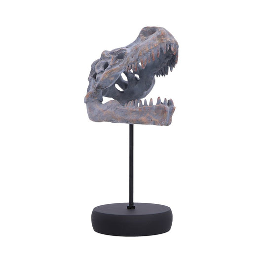Tyrannosaurus Rex Skull on Plinth 24.2cm 1