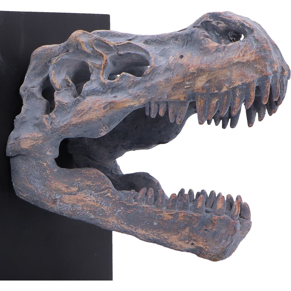 Tyrannossaurus Rex Skull Bookends 17.1cm 5