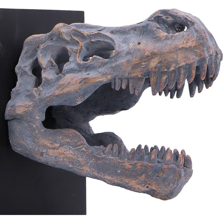 Tyrannossaurus Rex Skull Bookends 17.1cm 5