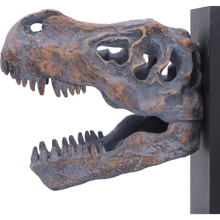 Tyrannossaurus Rex Skull Bookends 17.1cm 6