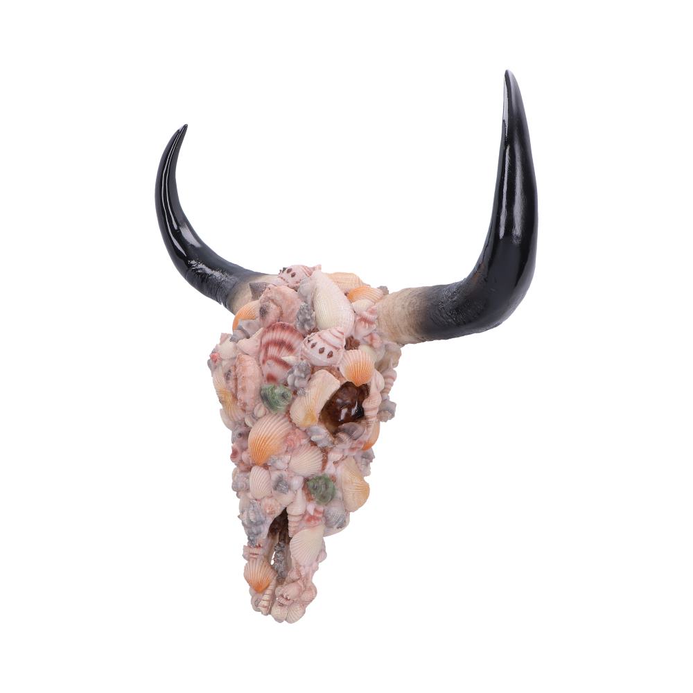Ocean Crown Sea Shell Bull Skull Ornament 44cm 2