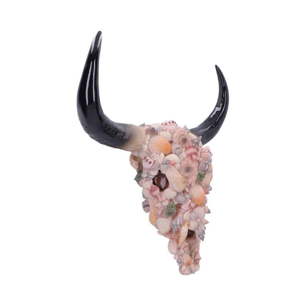 Ocean Crown Sea Shell Bull Skull Ornament 44cm 3