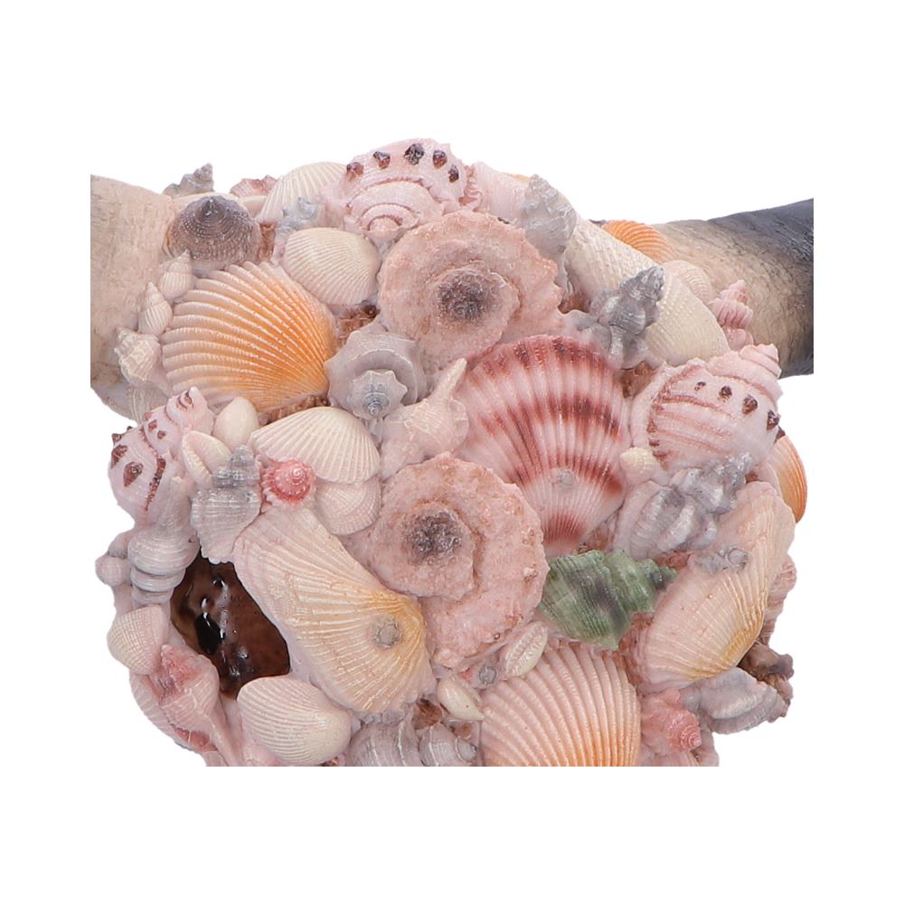 Ocean Crown Sea Shell Bull Skull Ornament 44cm 4