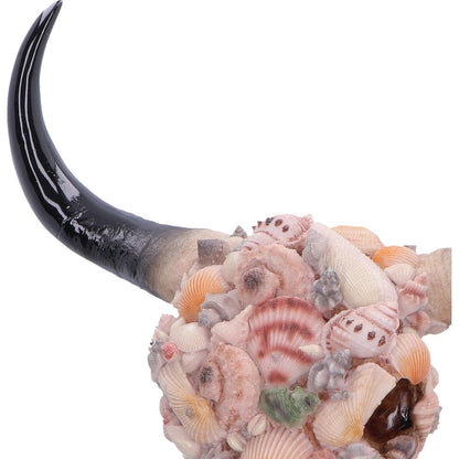 Ocean Crown Sea Shell Bull Skull Ornament 44cm 5