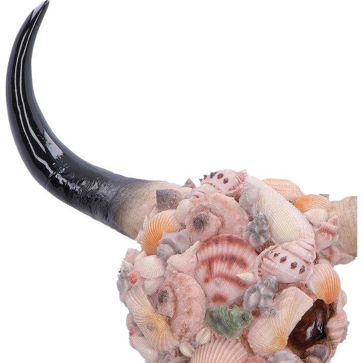 Ocean Crown Sea Shell Bull Skull Ornament 44cm
