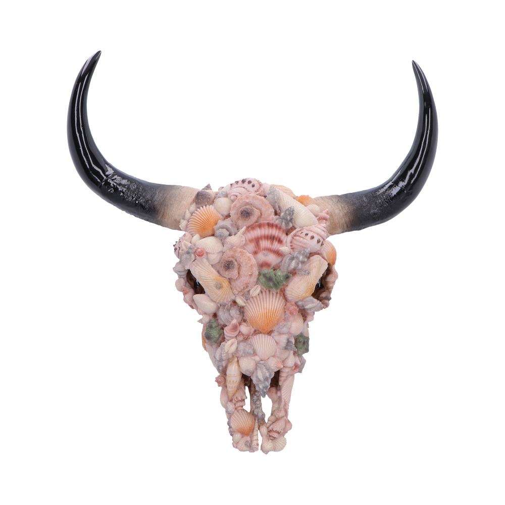 Ocean Crown Sea Shell Bull Skull Ornament 44cm 1