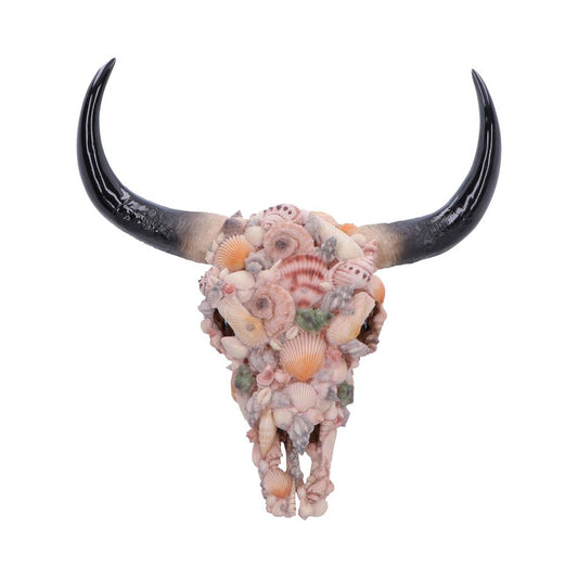 Ocean Crown Sea Shell Bull Skull Ornament 44cm 1