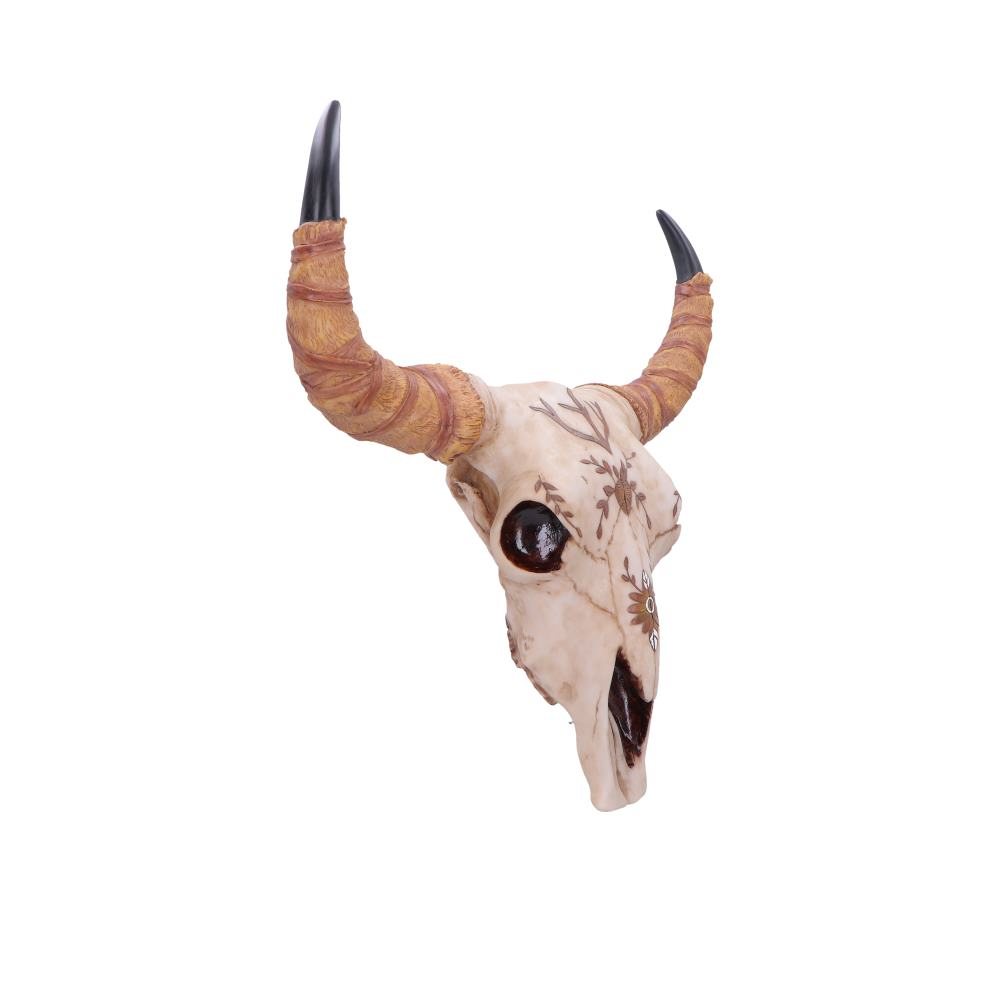 Spirit of the South Crown Skull Ornament 42.5cm 3