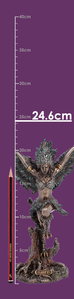 Harpy the Creature of Storm and Tempest Figurine 24.6cm 8