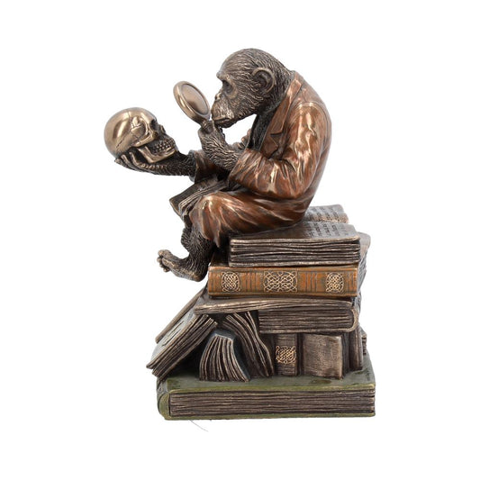 Darwinism of Evolutionary Theory Figurine Charles Darwin Chimpanzee Ornament 17.5cm 2