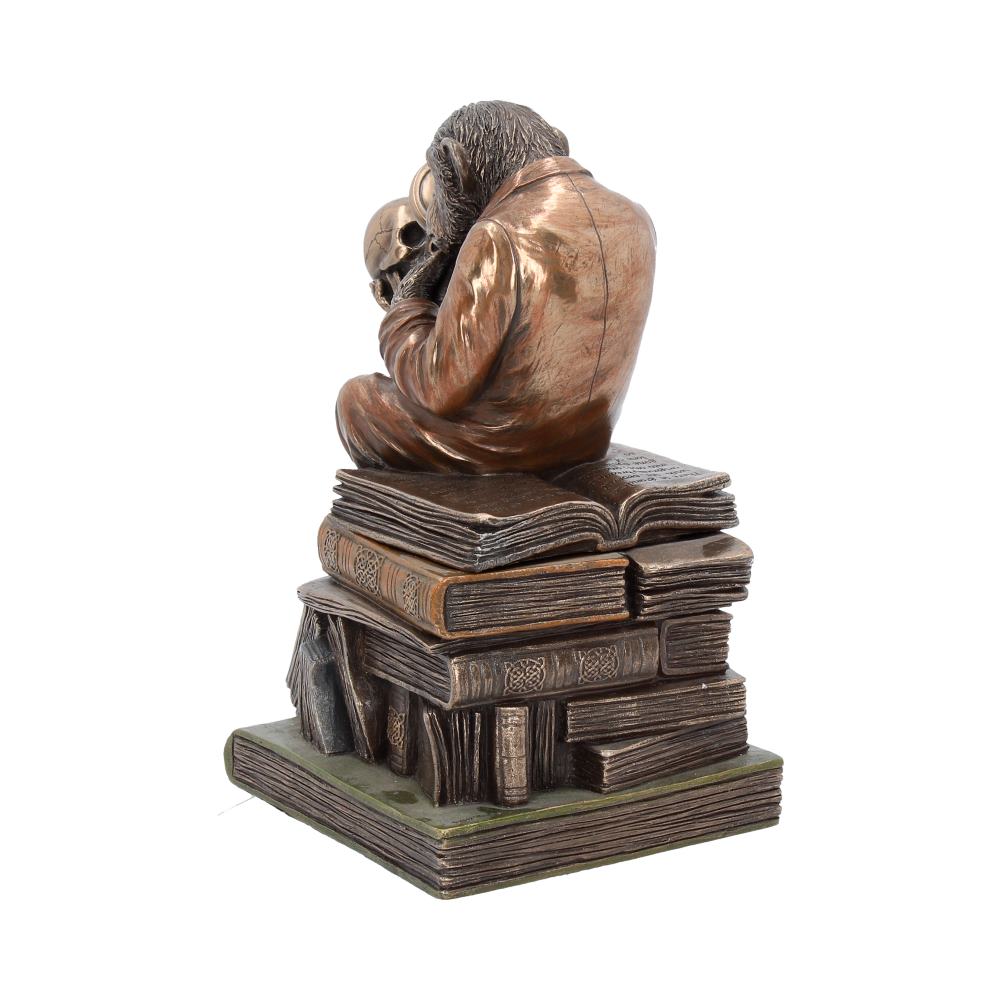 Darwinism of Evolutionary Theory Figurine Charles Darwin Chimpanzee Ornament 17.5cm 3