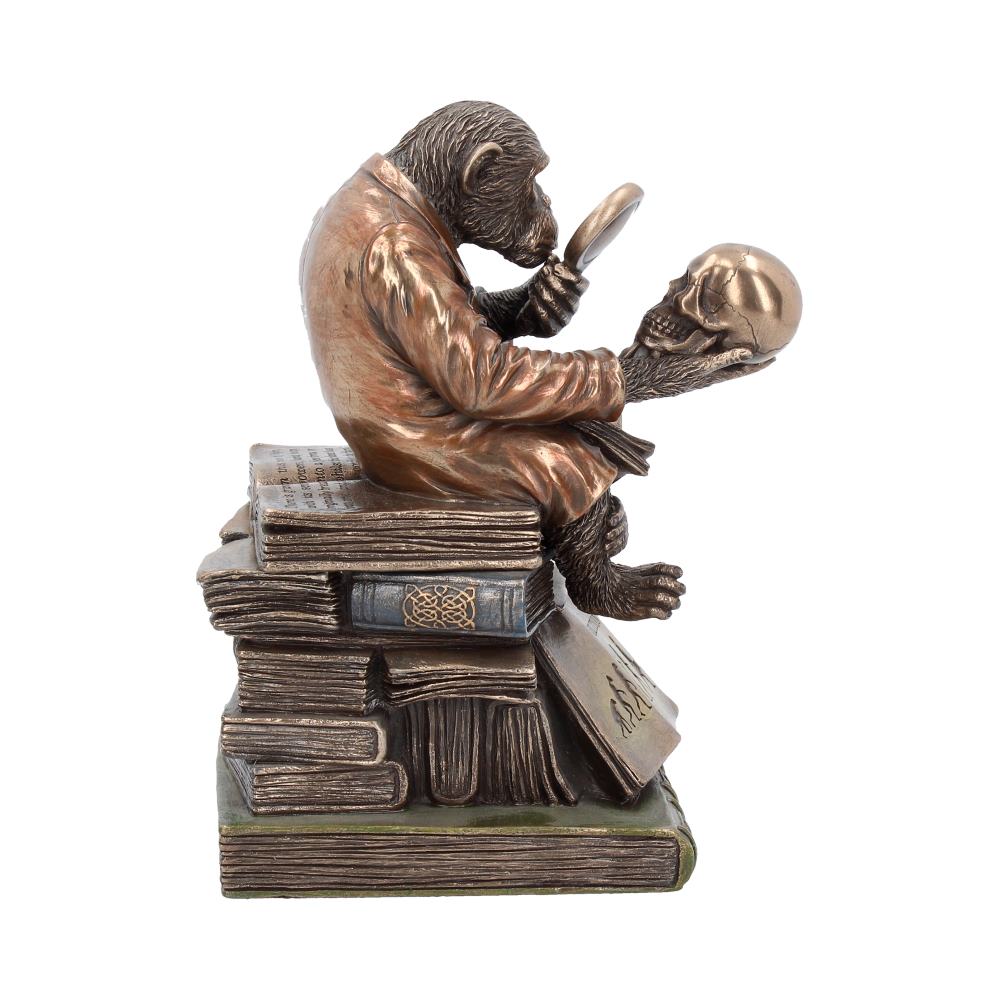 Darwinism of Evolutionary Theory Figurine Charles Darwin Chimpanzee Ornament 17.5cm 5