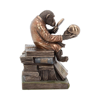 Darwinism of Evolutionary Theory Figurine Charles Darwin Chimpanzee Ornament 17.5cm 5