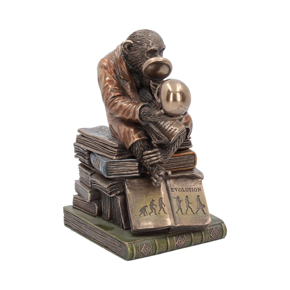 Darwinism of Evolutionary Theory Figurine Charles Darwin Chimpanzee Ornament 17.5cm 6