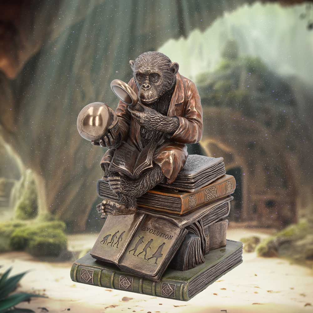 Darwinism of Evolutionary Theory Figurine Charles Darwin Chimpanzee Ornament 17.5cm 7