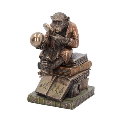 Darwinism of Evolutionary Theory Figurine Charles Darwin Chimpanzee Ornament 17.5cm 1