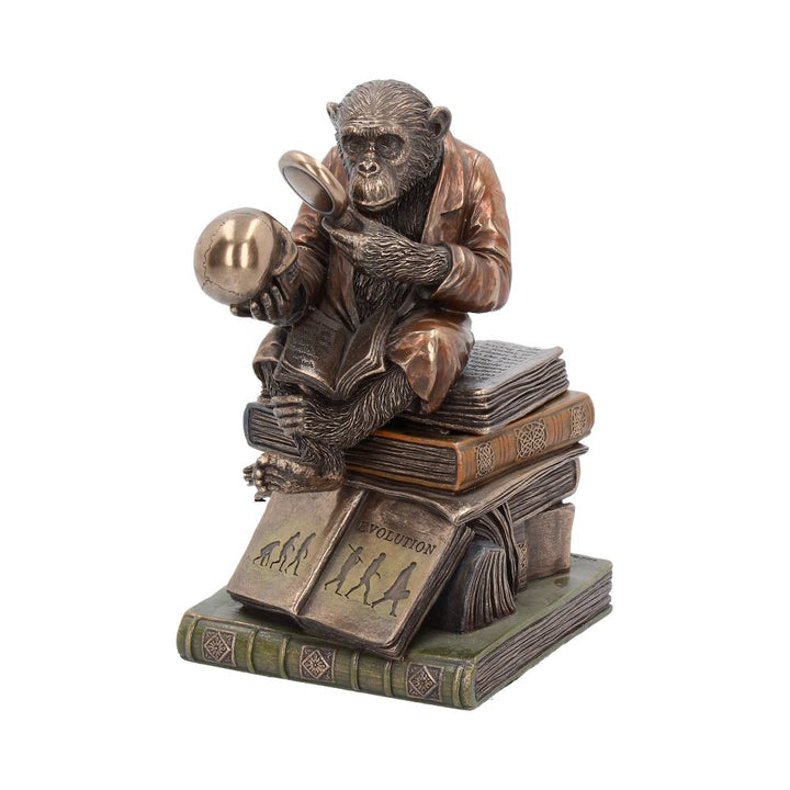 Darwinism of Evolutionary Theory Figurine Charles Darwin Chimpanzee Ornament 17.5cm 1