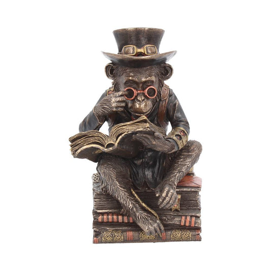Steampunk Chimpanzee Scholar Figurine 19.5cm 1