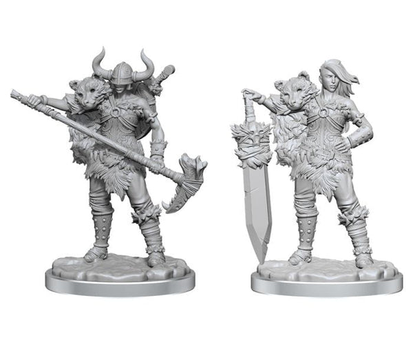 D&D Frameworks: Human Barbarian Female