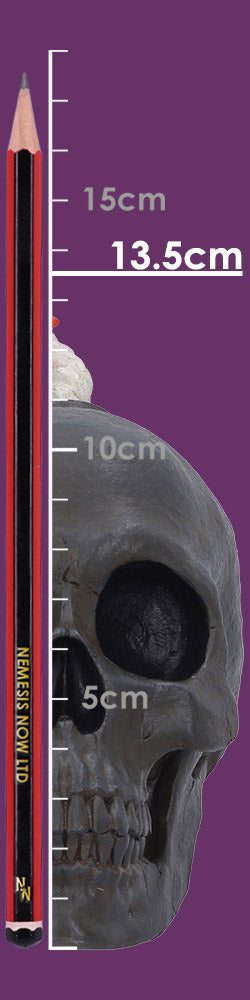 Mind Blown Skull Figurine 14.7cm 8