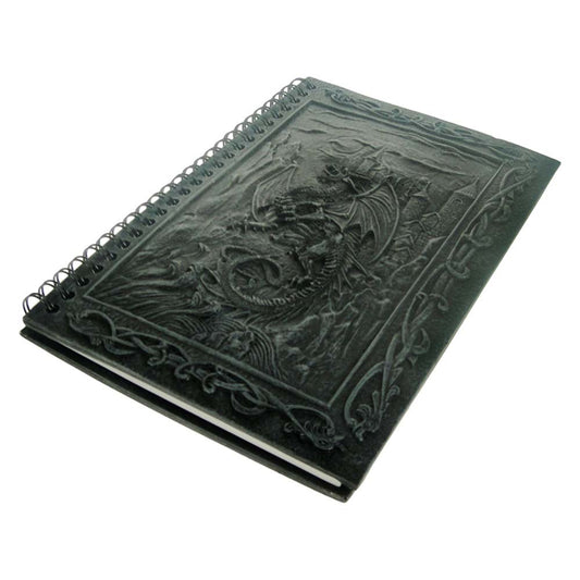 Dragons Kingdom Journal With Dragon Resin Cover 20cm 1