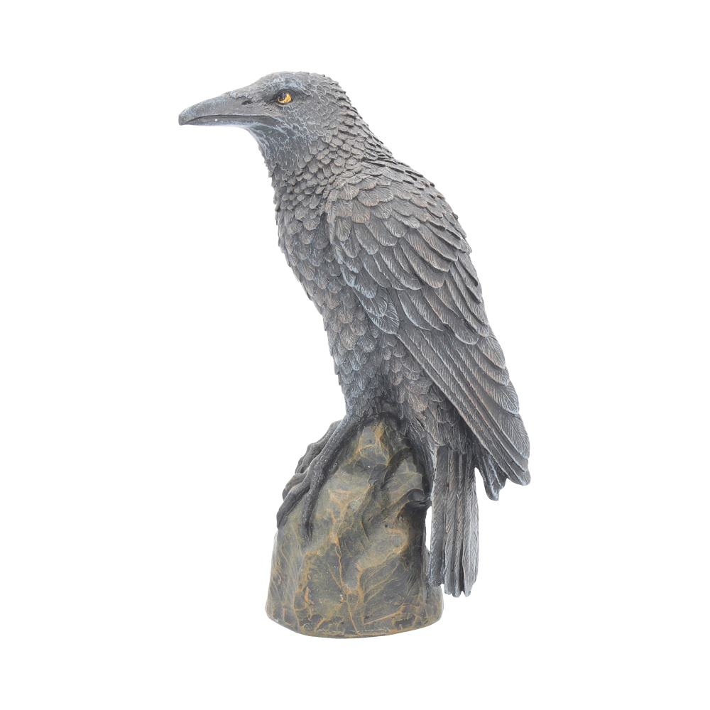 Ravens Rest Figurine Gothic Bird Ornament 16cm Polyresin Statue 2