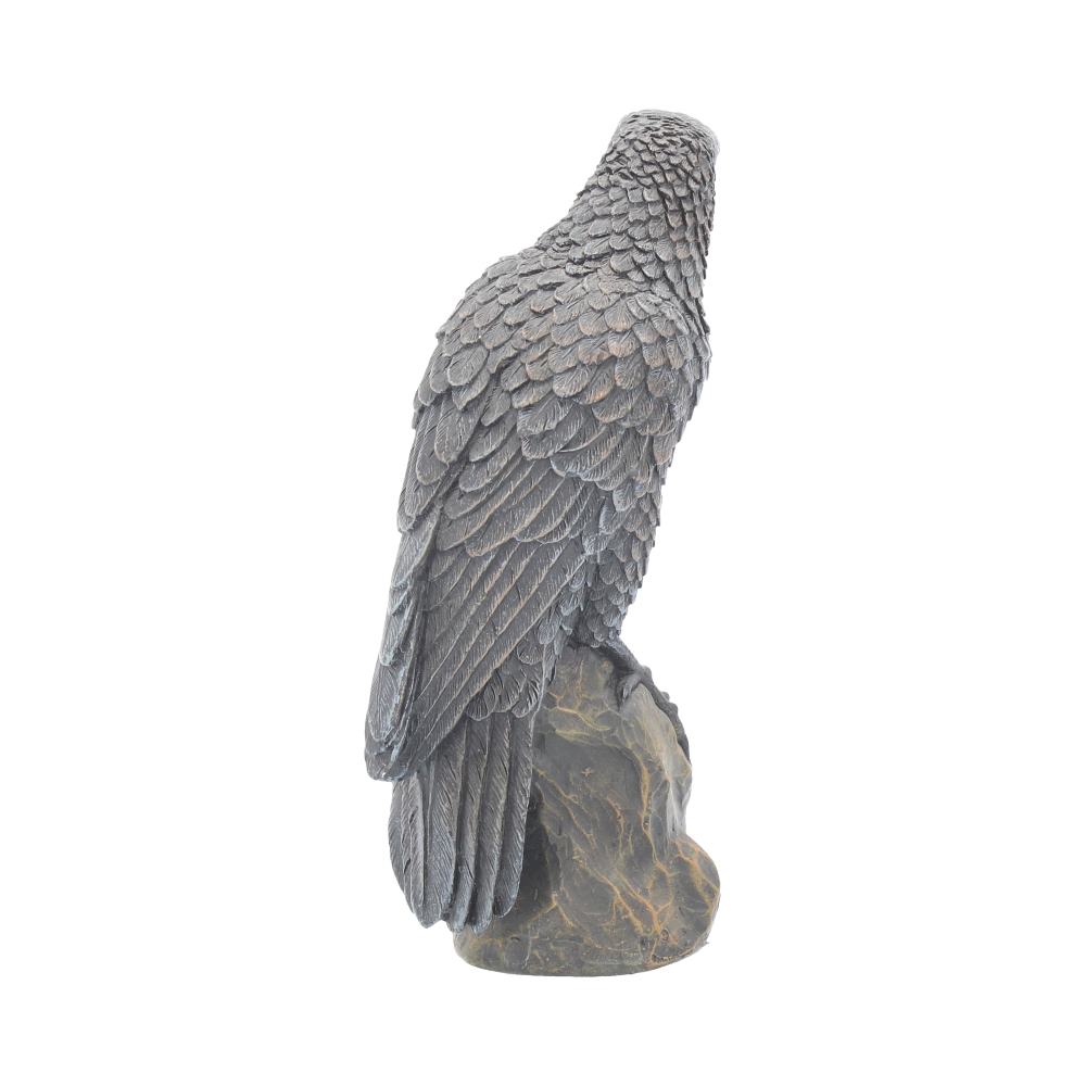 Ravens Rest Figurine Gothic Bird Ornament 16cm Polyresin Statue 4