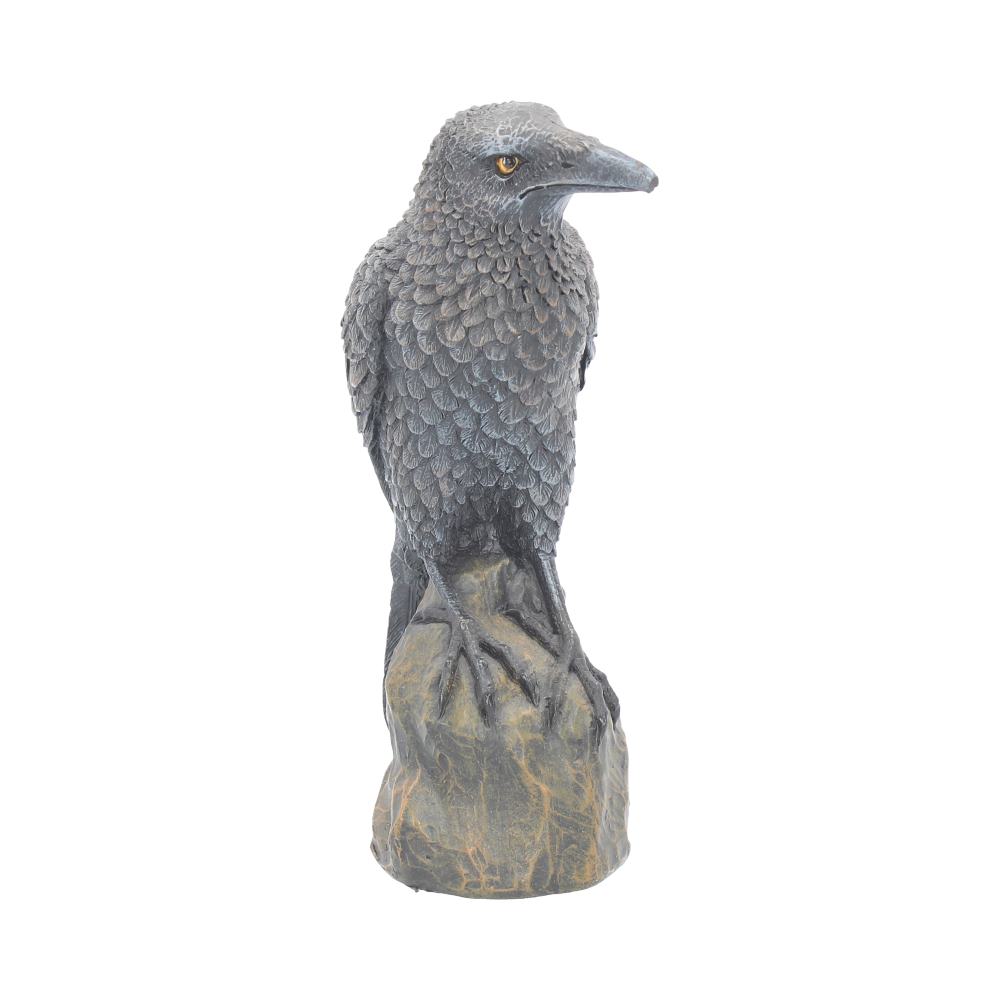 Ravens Rest Figurine Gothic Bird Ornament 16cm Polyresin Statue 6