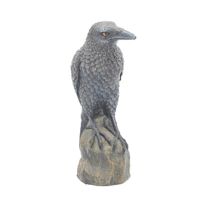 Ravens Rest Figurine Gothic Bird Ornament 16cm Polyresin Statue 6