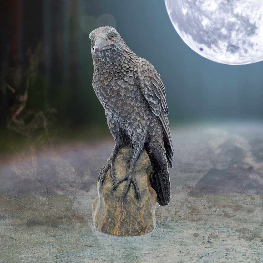 Ravens Rest Figurine Gothic Bird Ornament 16cm Polyresin Statue 7