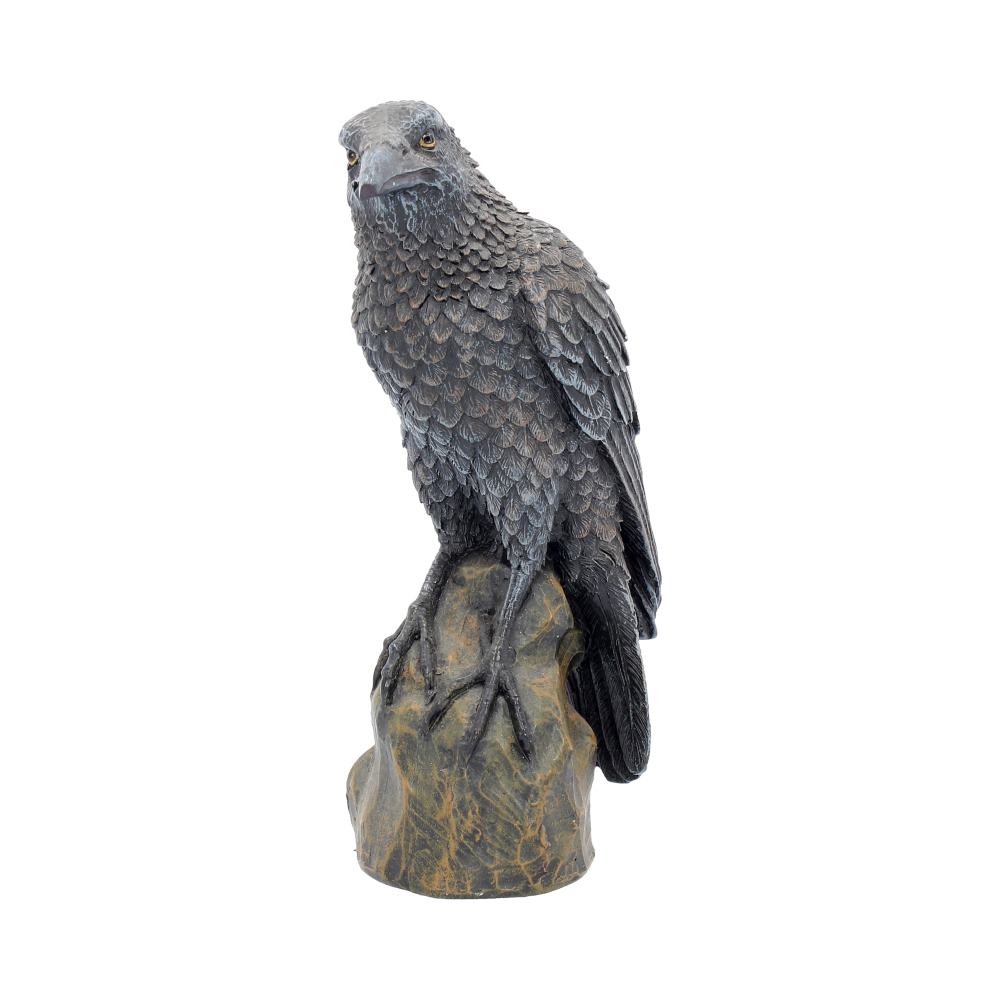 Ravens Rest Figurine Gothic Bird Ornament 16cm Polyresin Statue 1