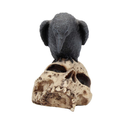 Raven Remains Figurine Crow Skull Gothic Ornament Ravens 13cm 6