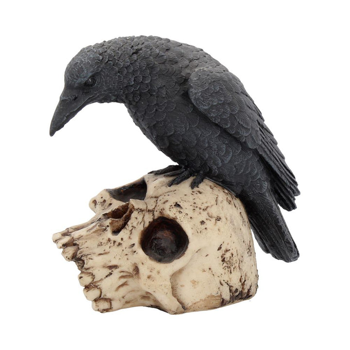 Raven Remains Figurine Crow Skull Gothic Ornament Ravens 13cm