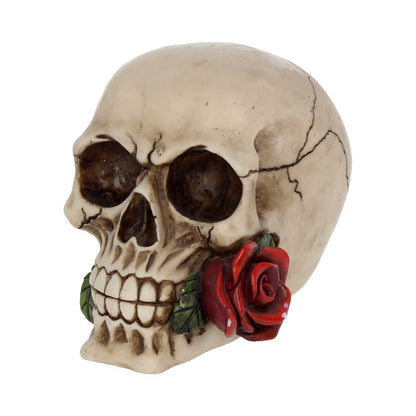 Rose From the Dead Skull Ornament 15cm 2
