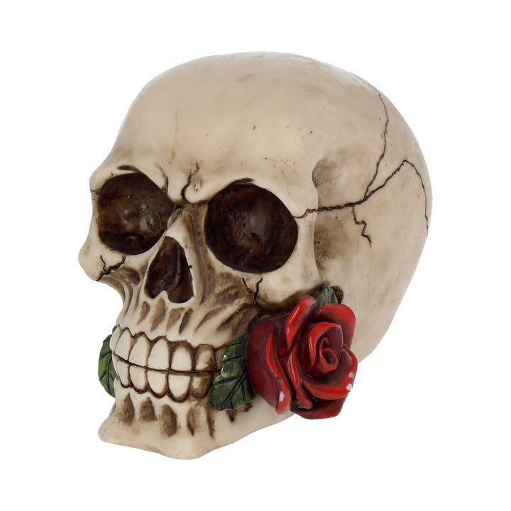 Rose From the Dead Skull Ornament 15cm 2