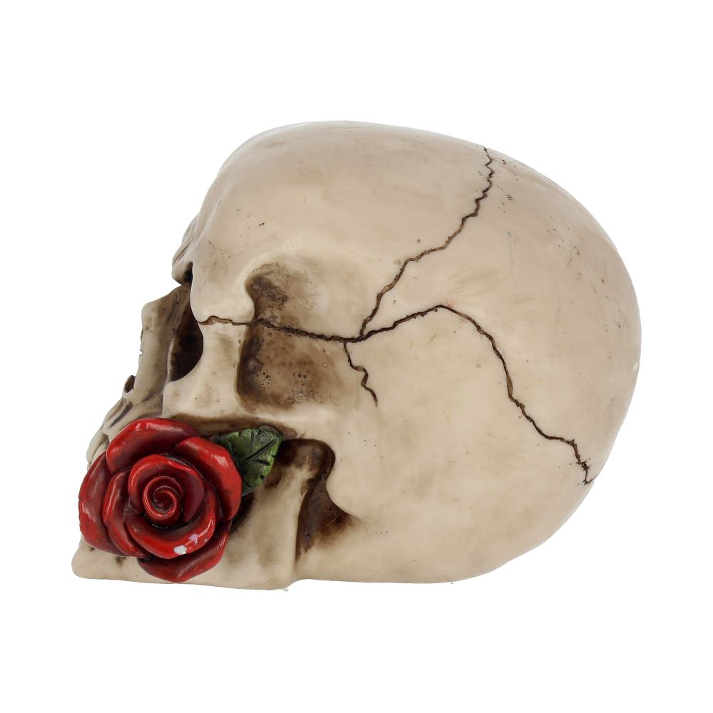 Rose From the Dead Skull Ornament 15cm 3