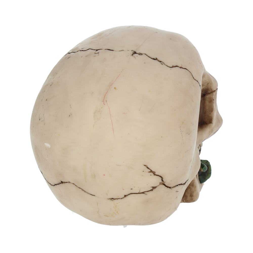 Rose From the Dead Skull Ornament 15cm 5