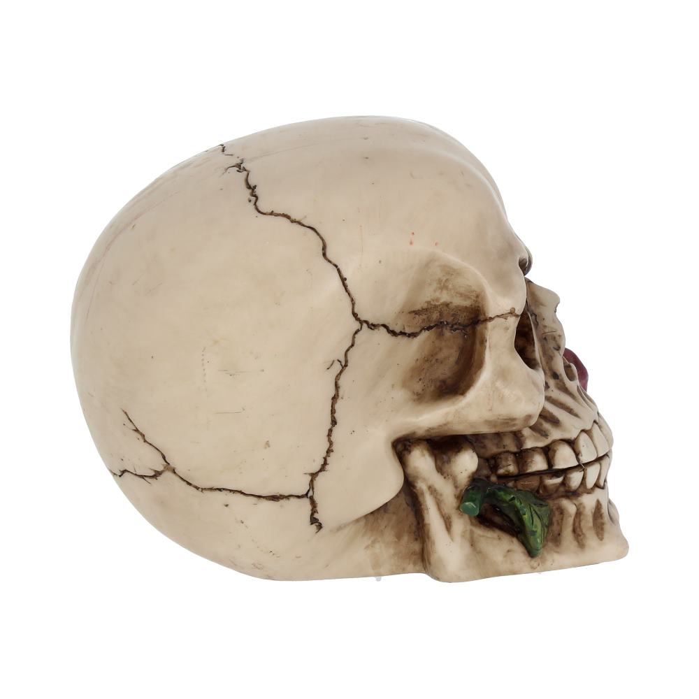 Rose From the Dead Skull Ornament 15cm 6
