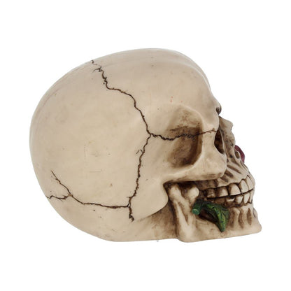 Rose From the Dead Skull Ornament 15cm 6
